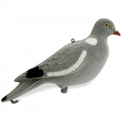 APPELANT PIGEON FLOQUE